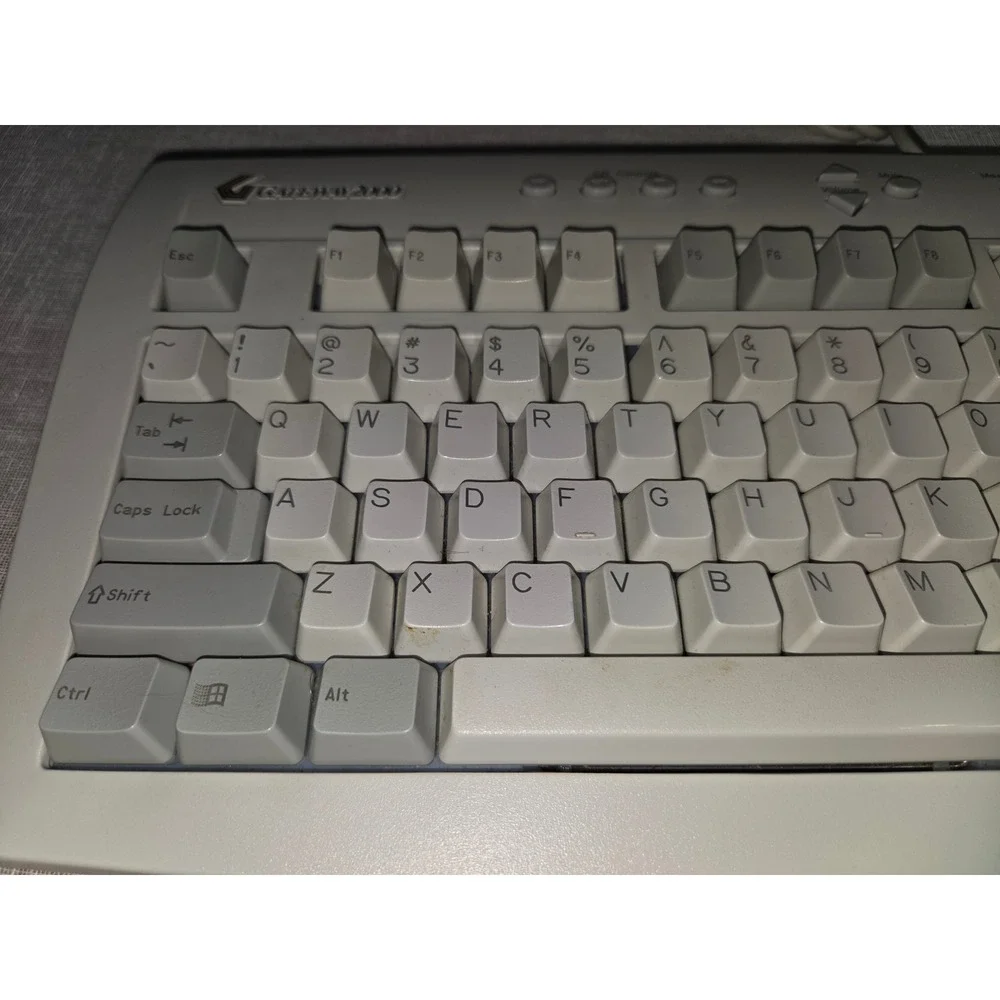 Vintage Gateway 2000 AnyKey Wired Keyboard PS2 Grey White E06150US011-C